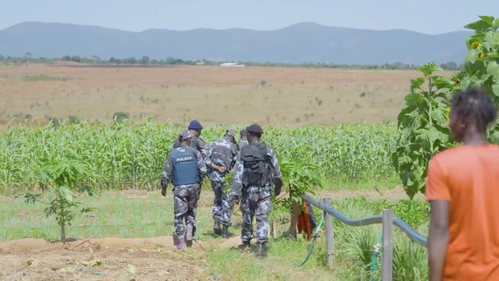 C:ảnh s:át Angola bất ngờ kiểm tra trang trại của Quang Linh Vlogs